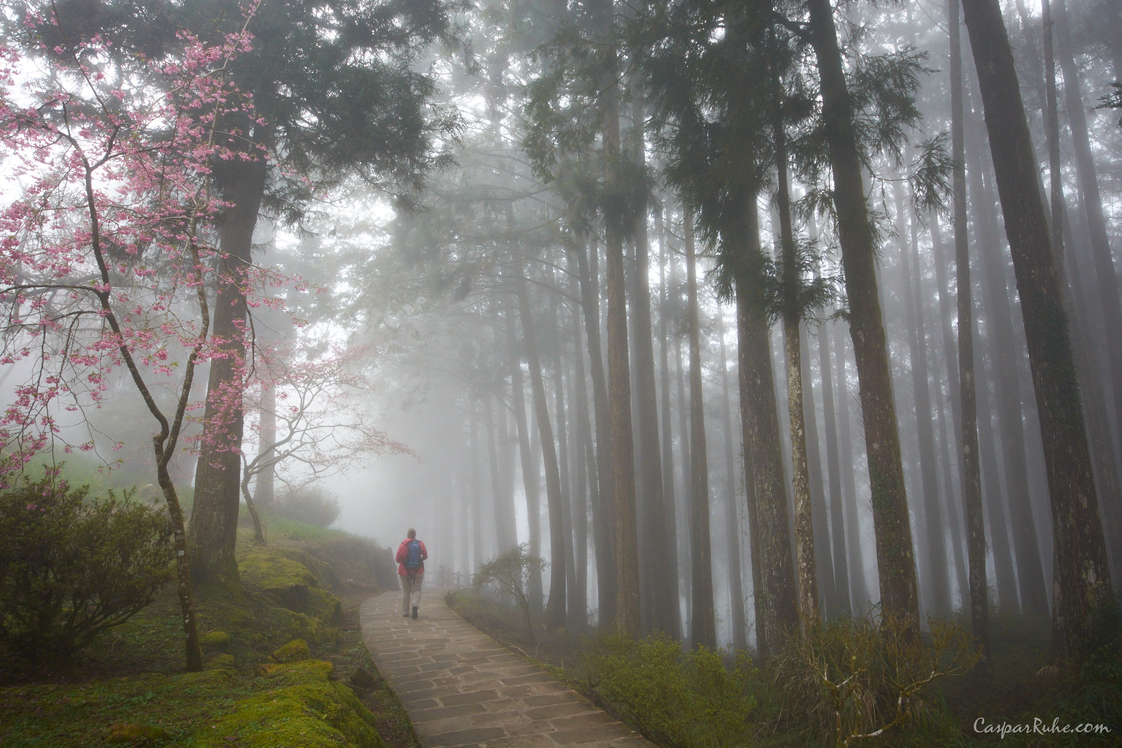 Alishan